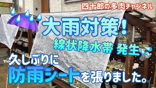 多肉植物 多肉棚 大雨対策 久しぶりに防雨シートを張りました Youtube
