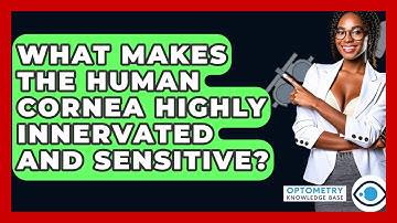 What Makes The Human Cornea Highly Innervated And Sensitive? - Optometry Knowledge Base