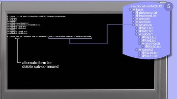 302_01-Subversion: svn rm;deleting files and directories directly