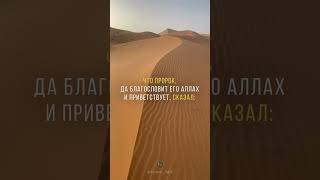 Стремящиеся к власти подобны ребенку у груди #ислам #религия #хадис #вера #власть