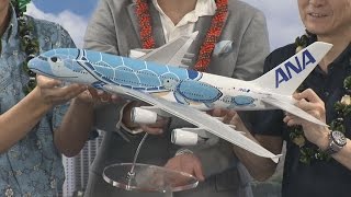 ２階建て機にウミガメ親子 全日空ハワイ便Ａ３８０