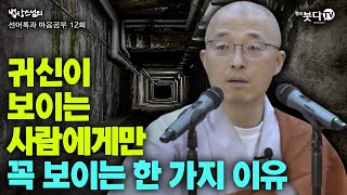 귀신이 보이는 사람에게만 꼭 보이는 한 가지 이유 | 법상스님의 선어록과 마음공부 12회(62) | 행복한 마음공부 깨달음 제사 귀신 악령 악귀 영가