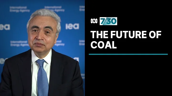 Does the coal industry have a future in Australia? | 7.30 - DayDayNews