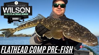 Flathead Fishing Competition - Tips And Tactics