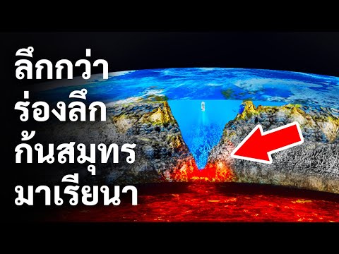 วีดีโอ: การวัดที่แม่นยำคืออะไร?