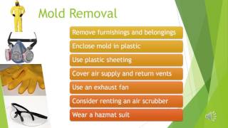 Mold Presentation