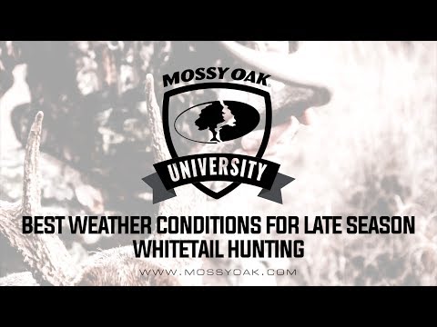 Best Weather Conditions