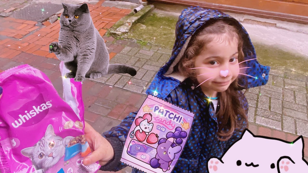 YAĞMURDA KEDİLERE YARDIM EDİYORUZ ⁉️ 