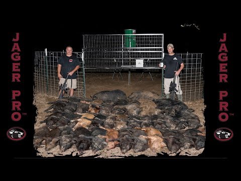 Wild Hog Trapping | (28) Using Integrated Wild Pig Control™ For Wild Hog Control | JAGER PRO™