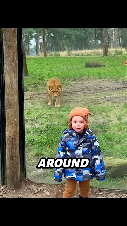 This Lion Just Got Outplayed by a Kid🤯#shorts