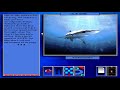 Extended Learning Module: Part 1 (HD) from IMAXS Speed MS-DOS/Packard Bell Version