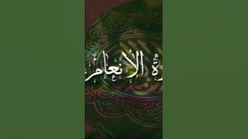 6 | سورة الأنعام | بسم الله الرحمان الرحيم | #قران_كريم