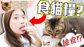 係Kanga面前食貓糧!?KANGA竟然....!!!??? - KANGA的日常