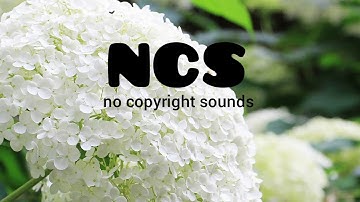 Vanze - Forever (feat. Brenton Mattheus) [NCS Release]