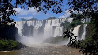 Japanese Relaxing Music • Meditation • Sleep Music • Healing • Calm Music | Iguazu waterfalls