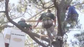 John Trask speaks about building a new starter nest on Cane Island