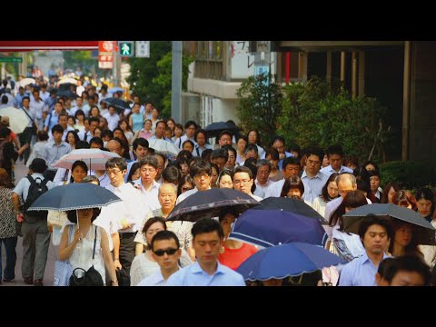 Video: Japans åldrande Husdjur Gnistor äldreomsorgsboom