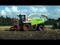 Claas Jaguar 890 Speedstar