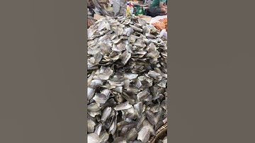 Khô cá sặc đồng 160k chợ Bình Điền #xuhuong #youtubeshorts #likeandsubscribe #congdong