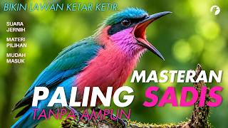 MASTERAN GACOR MATERI TEMBAKAN KASAR PANJANG MEWAH COCOK UNTUK MURAI BATU DAN SEMUA JENIS BURUNG