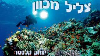 Video thumbnail of "צליל מכוון - יצחק קלפטר"