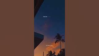 STORY WA 30 DETIK || LITERASI CIDRO