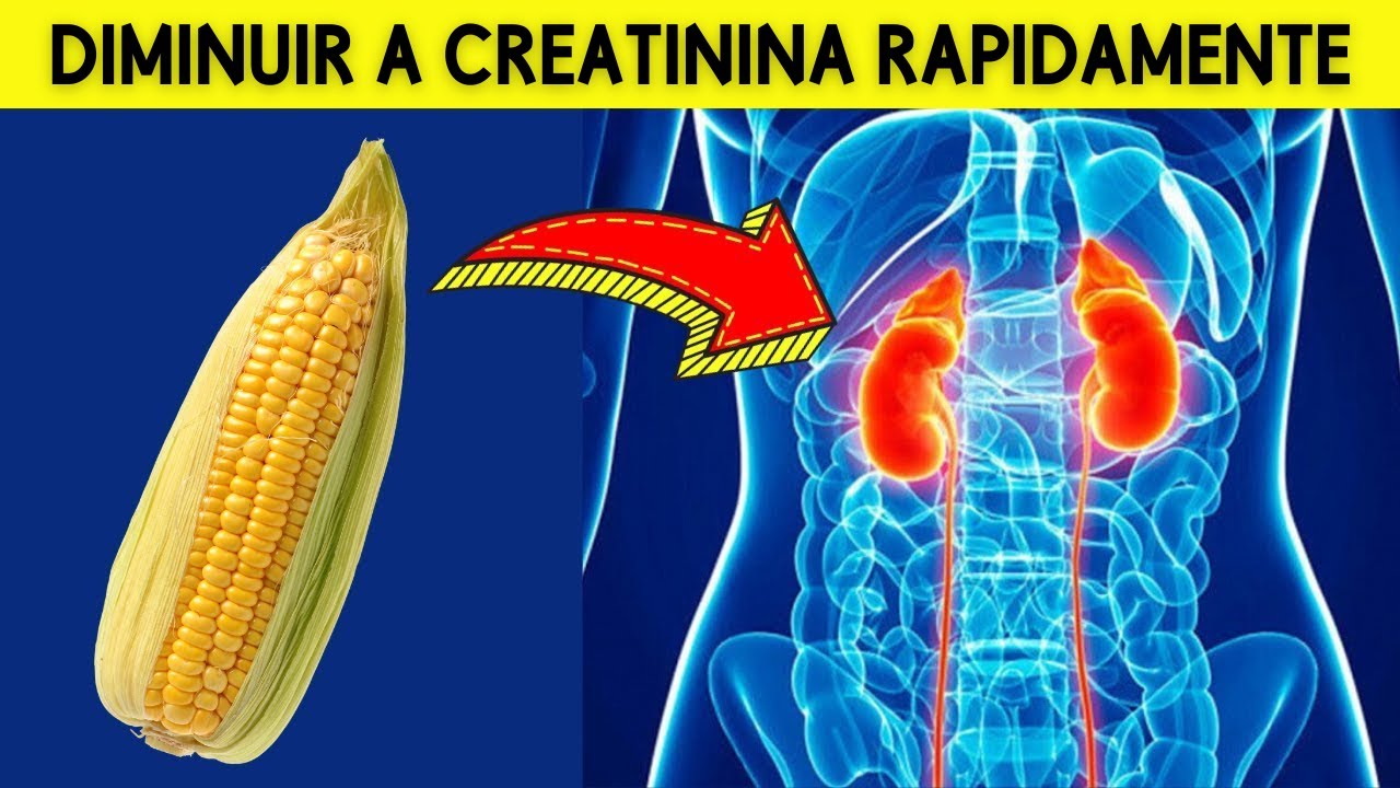 DEVE TENTAR! 5 superalimentos para reduzir rapidamente a creatinina e ...