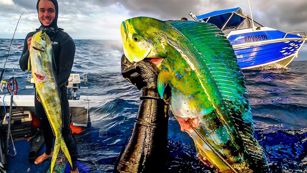 Most Unhealthy Dolphinfish Catch N Cook Ever