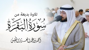 ثم قست قلوبكم من بعد ذلك | تلاوة بديعة من من سورة البقرة