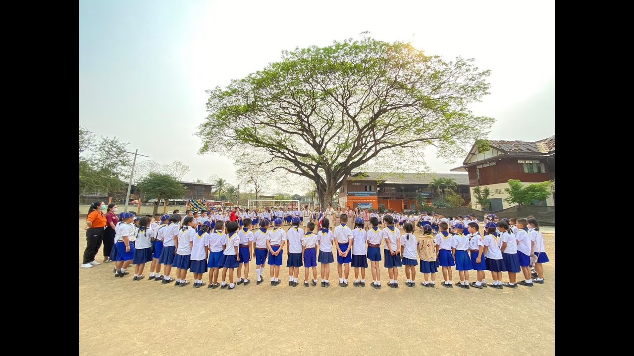 ประมวลภาพกิจกรรมระดับชั้น ประถมศึกษาปีที่1-3 ชุมชนบ้านฟ่อนวิทยา