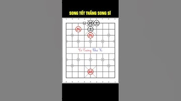 Cờ tàn thực chiến | SONG TỐT THẮNG SONG SĨ  #cotuongthuvi #cothethuvi #cotanthucchien #shorts