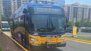 DASH Alexandria Transit Company 2020 New Flyer XE40 801 On Route 31 Ride Part 1 screenshot 5