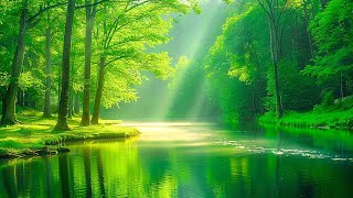 Calming music for nerves  healing music for the heart and blood vessels, relaxation, music for the