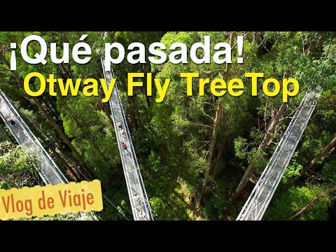 Una pasada. El Otway Fly TreeTop en Australia