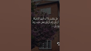 #القرآن_الكريم #تلاوة_مميزة #تلاوات_خاشعة #يارب #قرآن_كريم #راحة_نفسية #quran