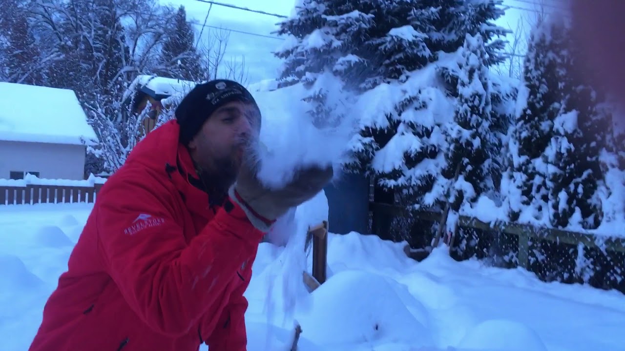 Blower / nieve polvo