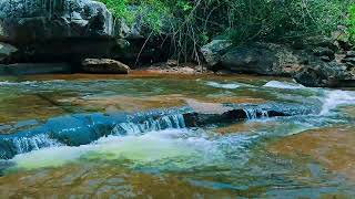 Stress Relief Meditation Deep Sleep Calm With The Best Nature Sounds And Water Sounds 055