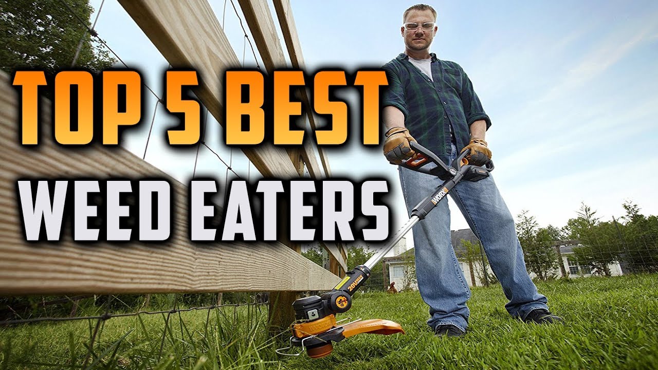 Top 5 Best Weed Eaters - YouTube Dewalt 20v Weed Eater Stopped Working