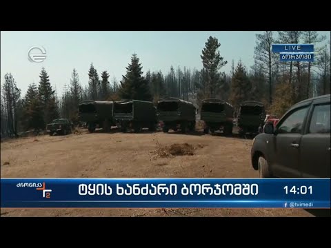 ტყის ხანძარი ბორჯომში