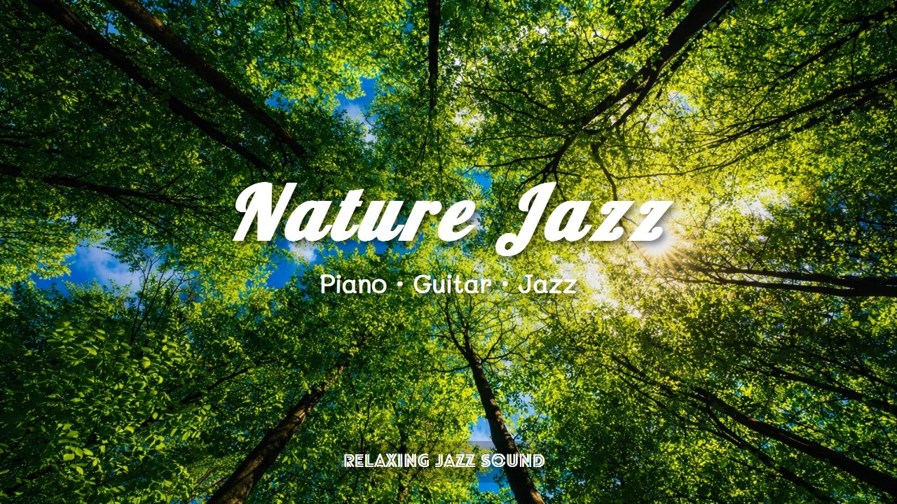 𝐏𝐥𝐚𝐲𝐥𝐢𝐬𝐭 | 예쁜 하늘색, 숲 속 아침의 JAZZ | 공부 | 독서 | 일 | 커피 | 재즈 | 머리가 복잡할 때 듣는 음악 I 편안한 재즈 I 까페음악 I BGM