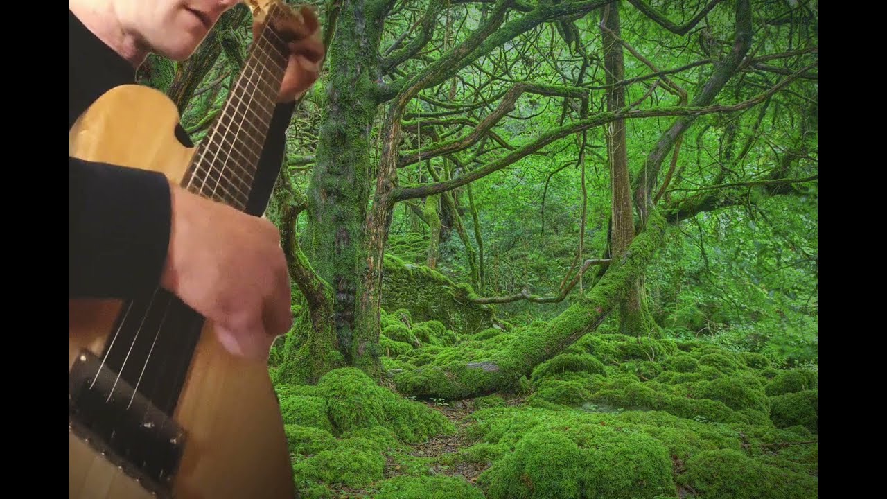 Solo Guitar - Herbstromanze Performed by Ryan Brock Campbell