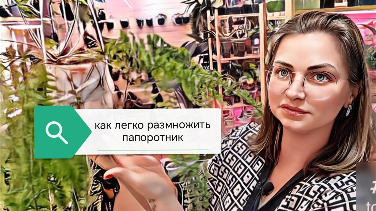 как легко размножить папоротник/пересадка нефролеписа - YouTube