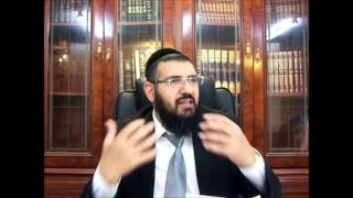 טהרת המשפחה חלק(ד)הרה''ג ארז אלחרר שליט''א