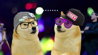 Doge at da club