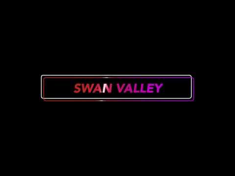 SWAN VALLEY @ 2020 Mid American Pompon State Championship - YouTube