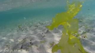 2016 0721 170830 015