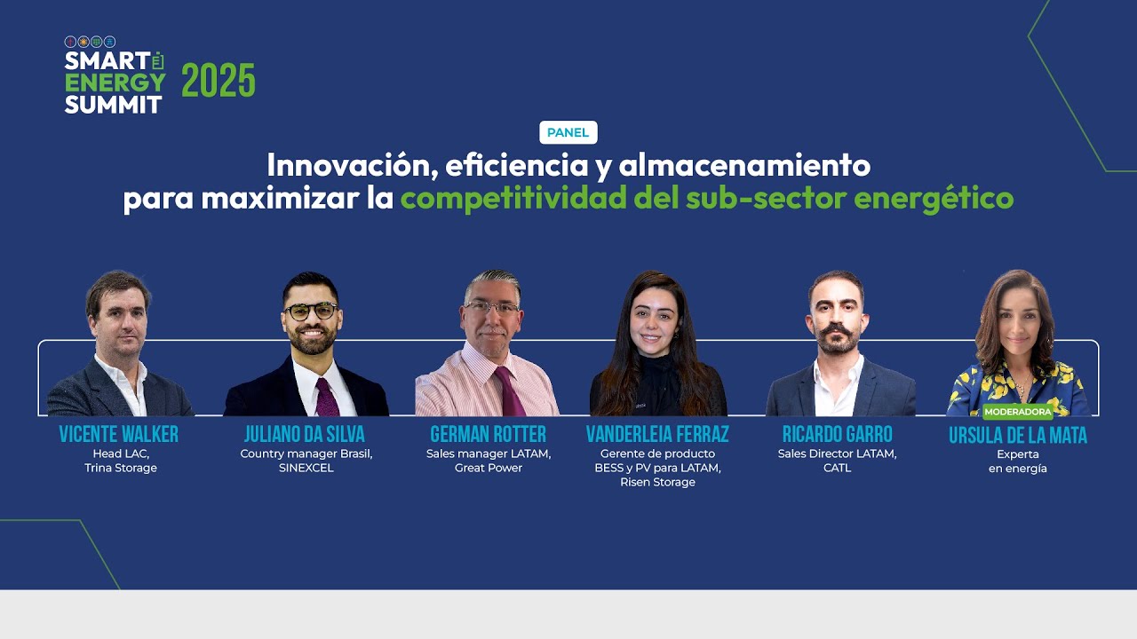 Panel: Innovación, eficiencia y almacenamiento para la competitividad del sub-sector energético
