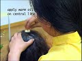 Le massage tibtain traditionnel ku nye  sowa rigpa  film complet