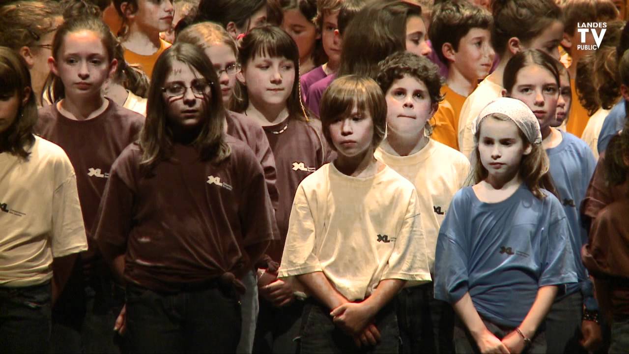 Le blues de la cigale - 30 ans du Conservatoire des Landes