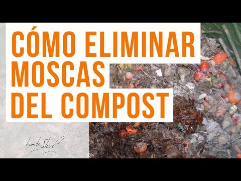 Video: Moscas de compost - Razones y soluciones para las moscas domésticas en compost